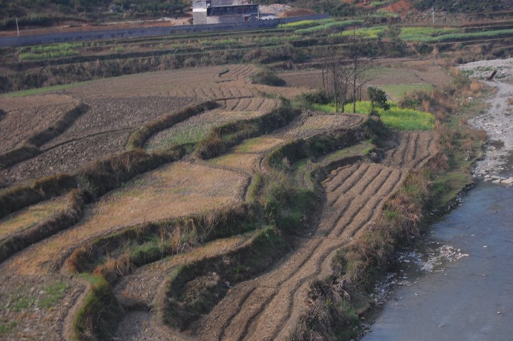 Ploughed rice fields
