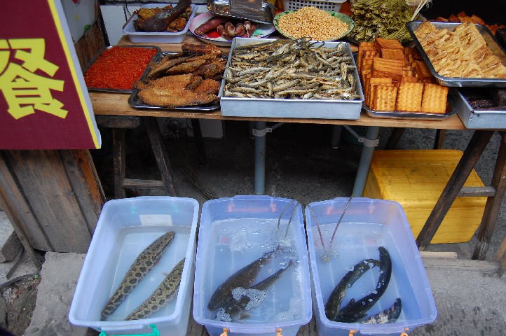 Food shop