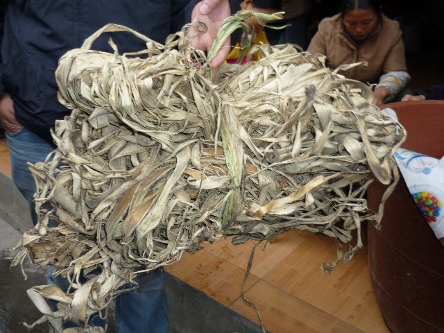 Bark from trees as the start of paper making