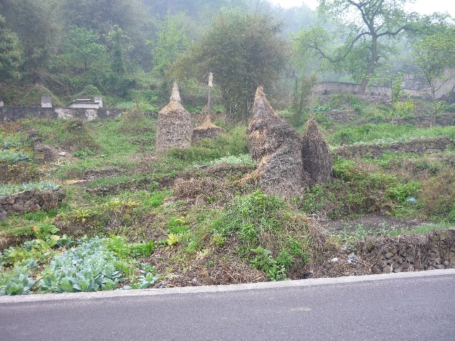 Hay stacks being used