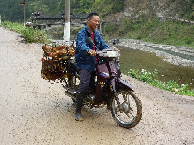 The chicken carrier can't get through either