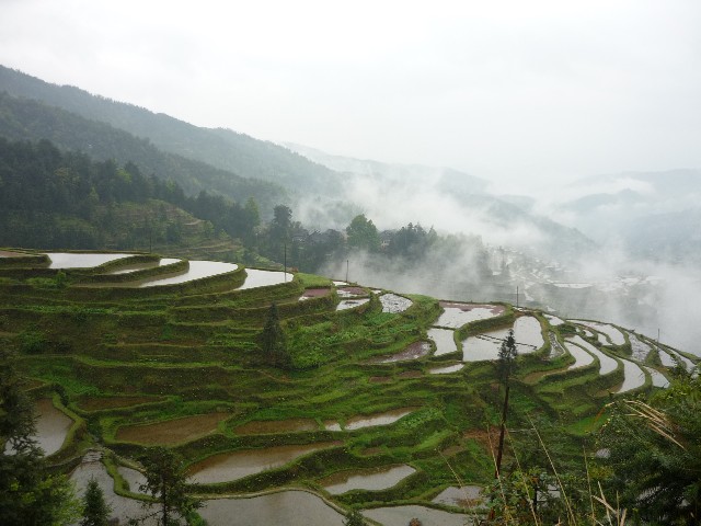 Great terraces