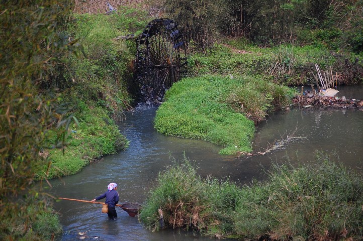 Fishing for supper