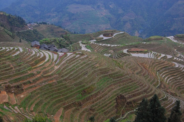 Long Ji fields with village