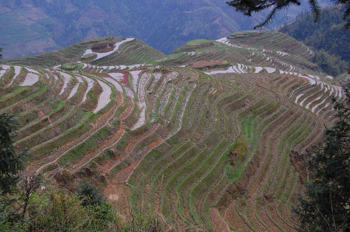 Long Ji terraced fields