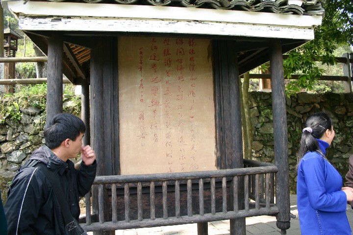 Michael trying to translate what she said into English