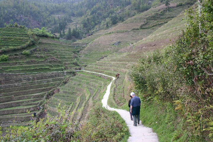 On the path back to the village