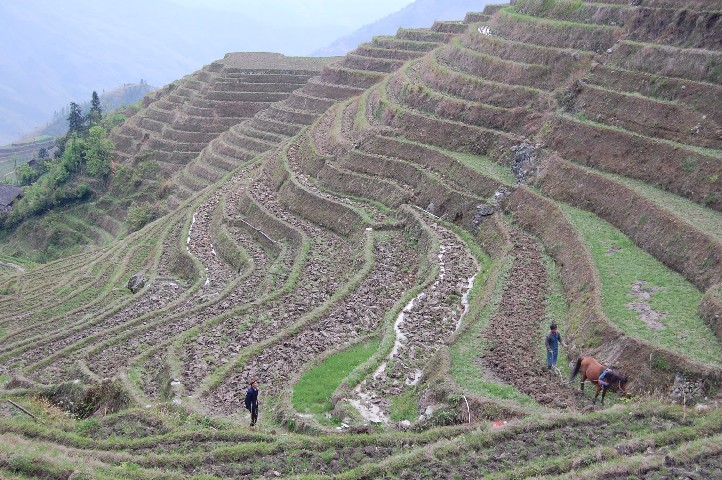 Some still being ploughed before flooding