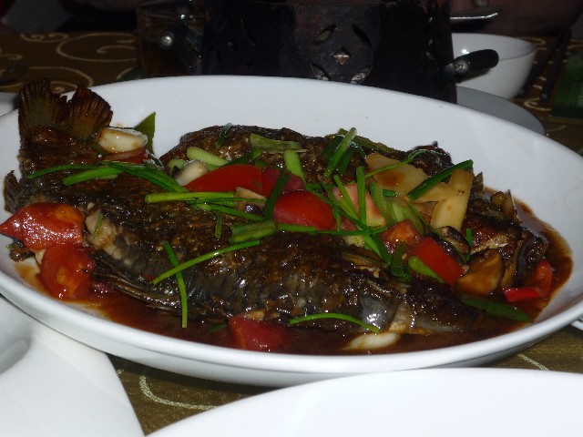 Beer Fish