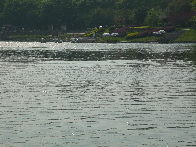Bronze elephants in water by Elephant hill