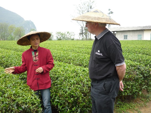 Tea research plantation in Guilin