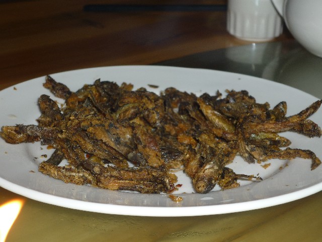 Fish like whitebait