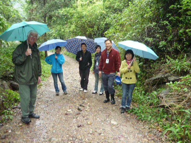 The walking team