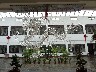 The crystal dragon in the hotel lobby