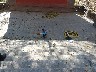 Child sweeping up