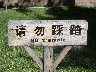 No Trample