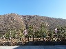 Views of mountains 1