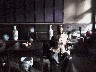 Models in museum in bank
