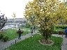 More gardens in prison area