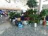 The lone traveller waiting patiently for news