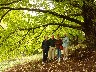 The 4 of us in the Ginkgo forest