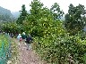 We walk all around the farms