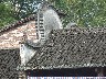 Fire wall on roof in case wooden tiles burn