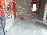 Ginger stored in corner of temple