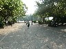 Tai Chi Class