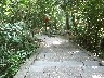This is the path we walked up and down on