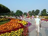 Entrance to park where the displays are all pot plants