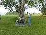 Man playing a 4 string banjo