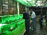 Choosing fish for dinner