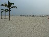 Looking along the beach