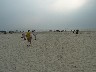 Walking down to the sea