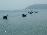 Little fishing boats