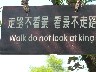 Lovely Chinglish signs