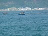 Shellfish fishing area
