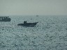 Speed boat zooms across