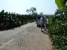 Van broke down