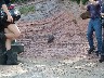 Volcanic rock face