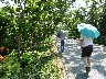 Walking to the entrance to the volcanic park