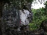 Tiger rock