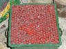Model of the coffee cherries when picked