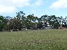 New stadium