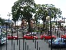 Red taxis