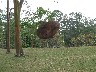 Statue in park