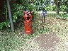 Strange statues in the grounds