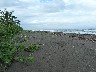 Turtle beach
