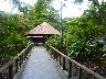 Tortuguero Evergreen Lodge